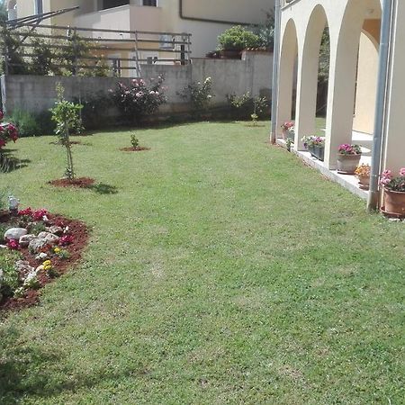 Apartment Barba Ližnjan المظهر الخارجي الصورة