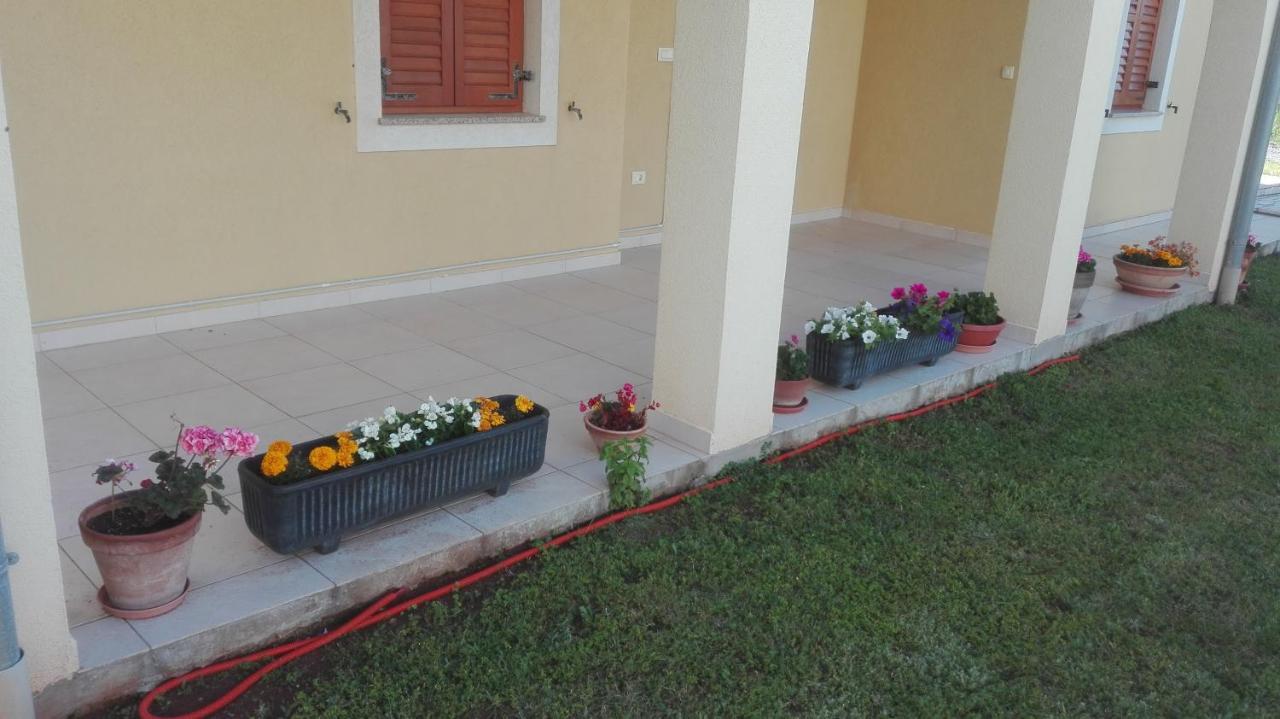 Apartment Barba Ližnjan المظهر الخارجي الصورة