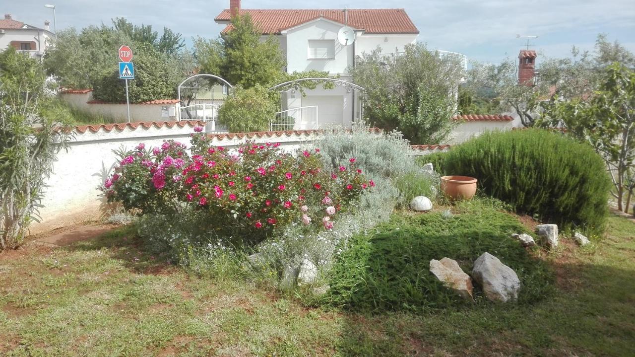 Apartment Barba Ližnjan المظهر الخارجي الصورة